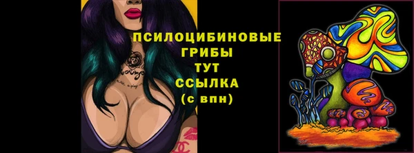 мет Каменногорск