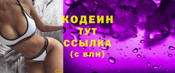 первитин Каменка