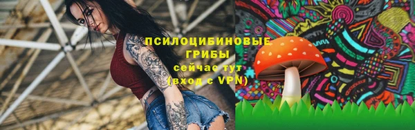 первитин Каменка