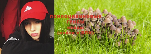мет Каменногорск